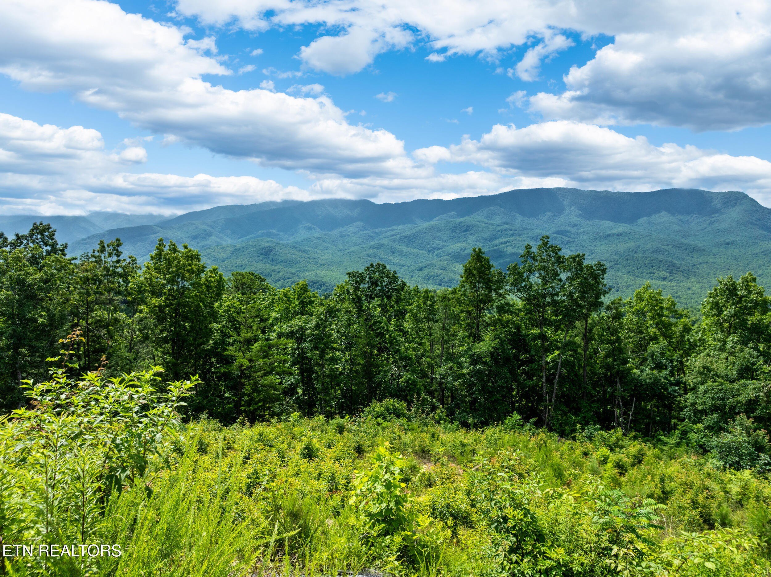 Gatlinburg Land with Mountain Views