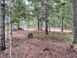 10 Acres Wooded Land Parcel