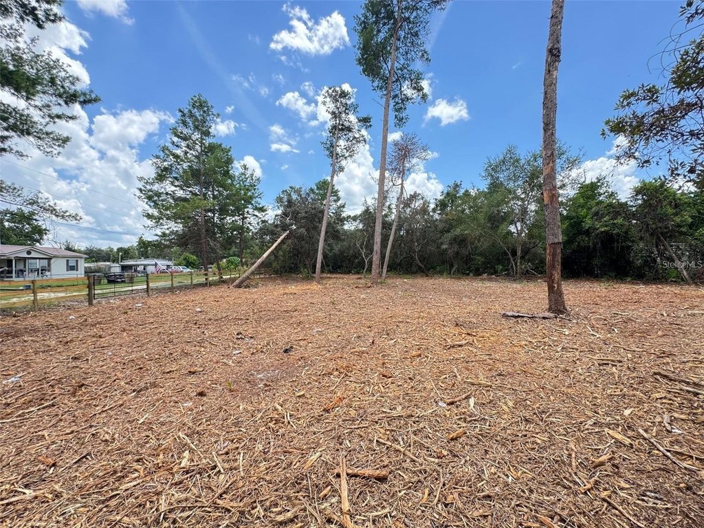 Picture 4