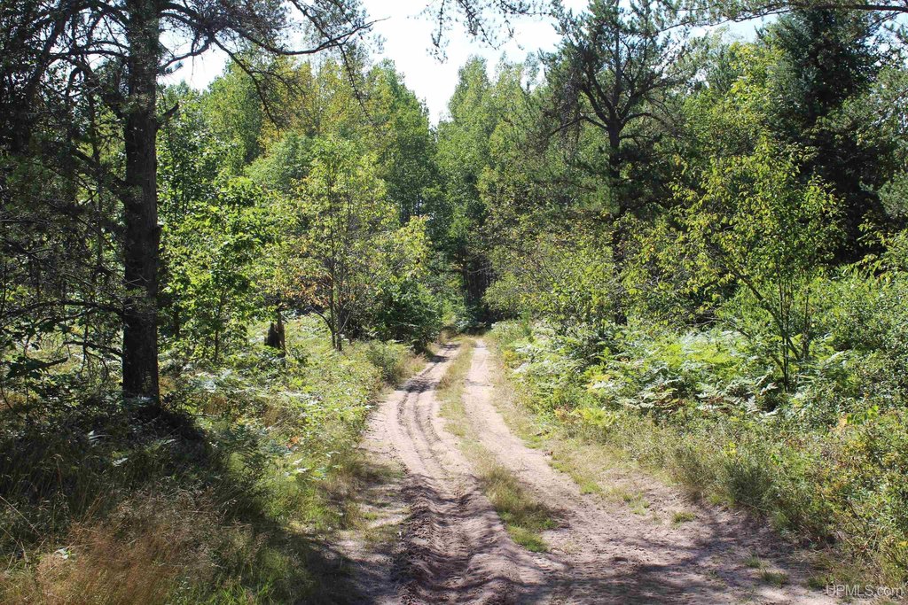 Picture 16