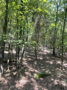 Land in Clarksville, Arkansas