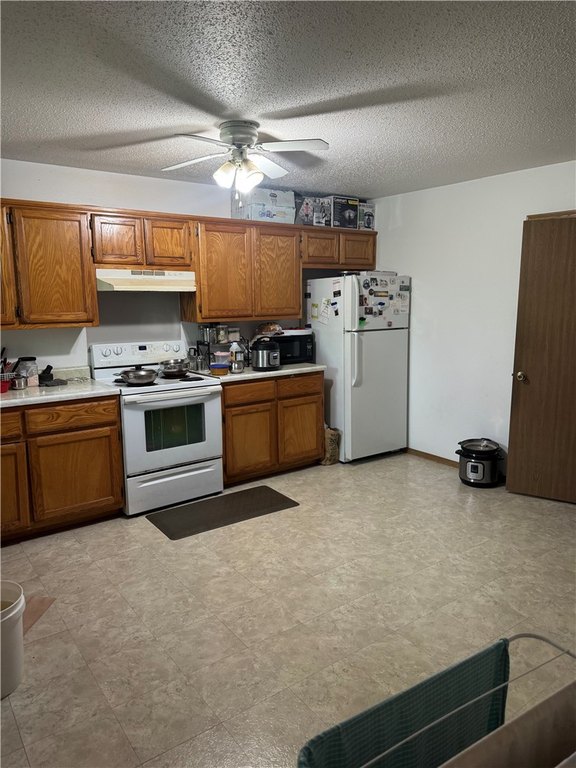Picture 25