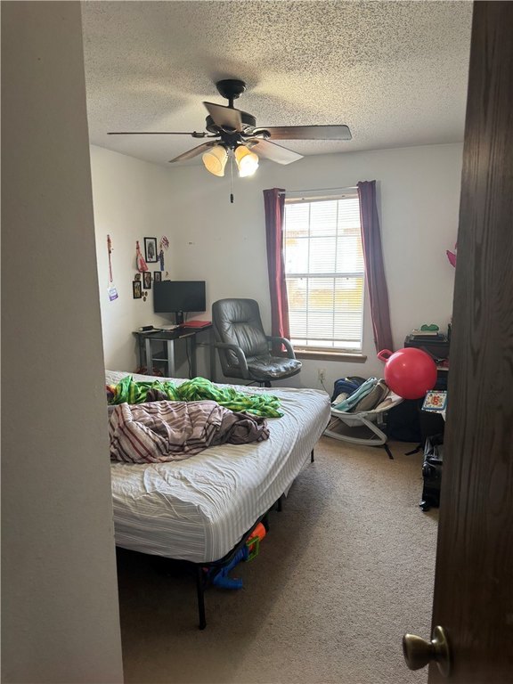 Picture 23