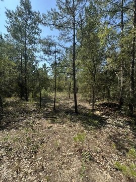 Land, DeFuniak Springs, FL