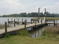 Picture 43