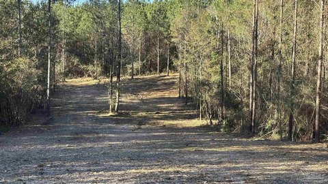 Allentown, FL 4-Acre Parcel