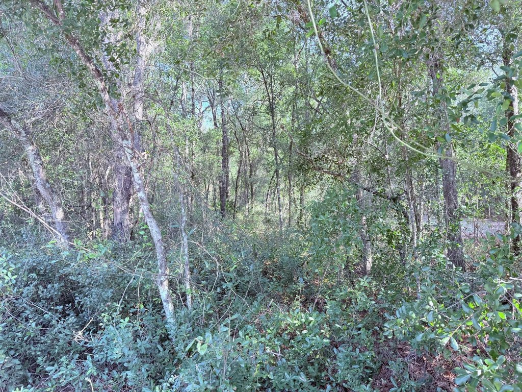 Picture 8