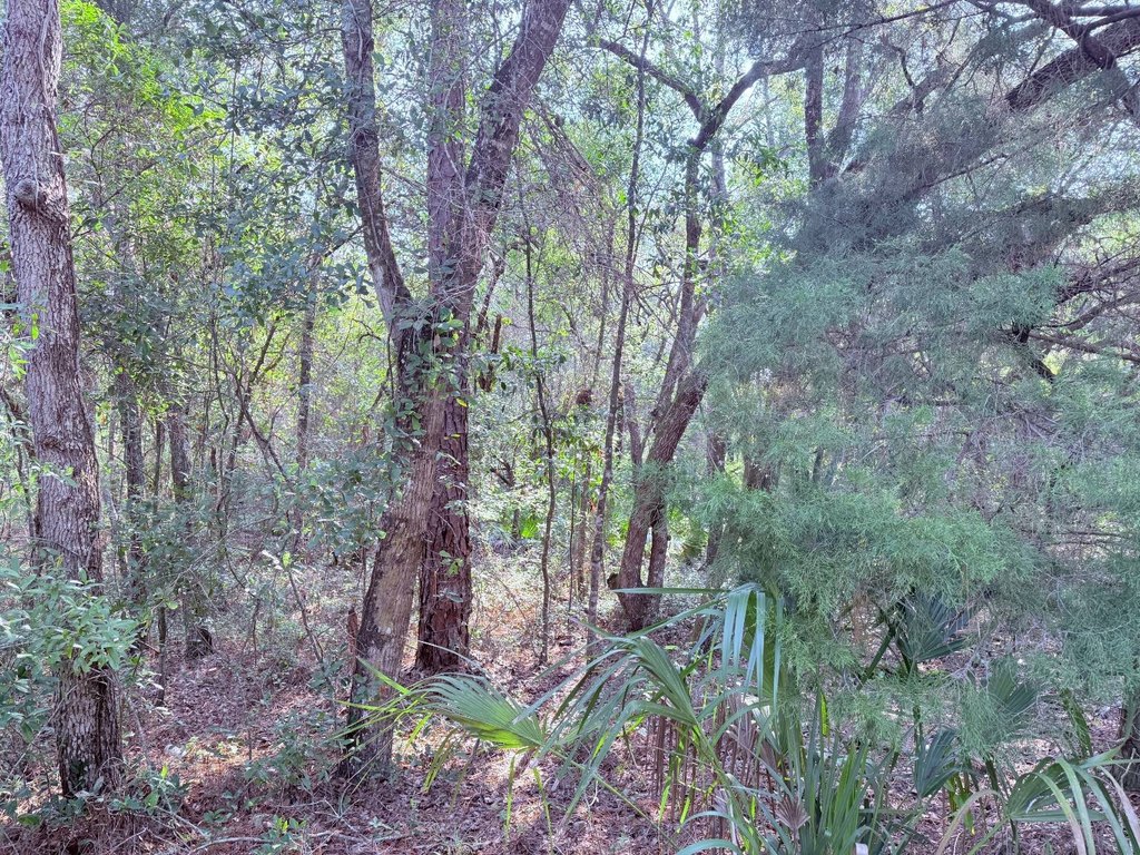 Picture 15