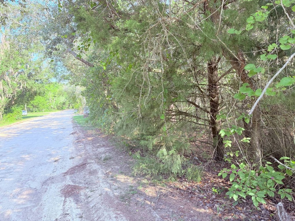 Picture 11