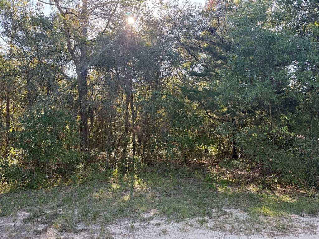 Picture 5