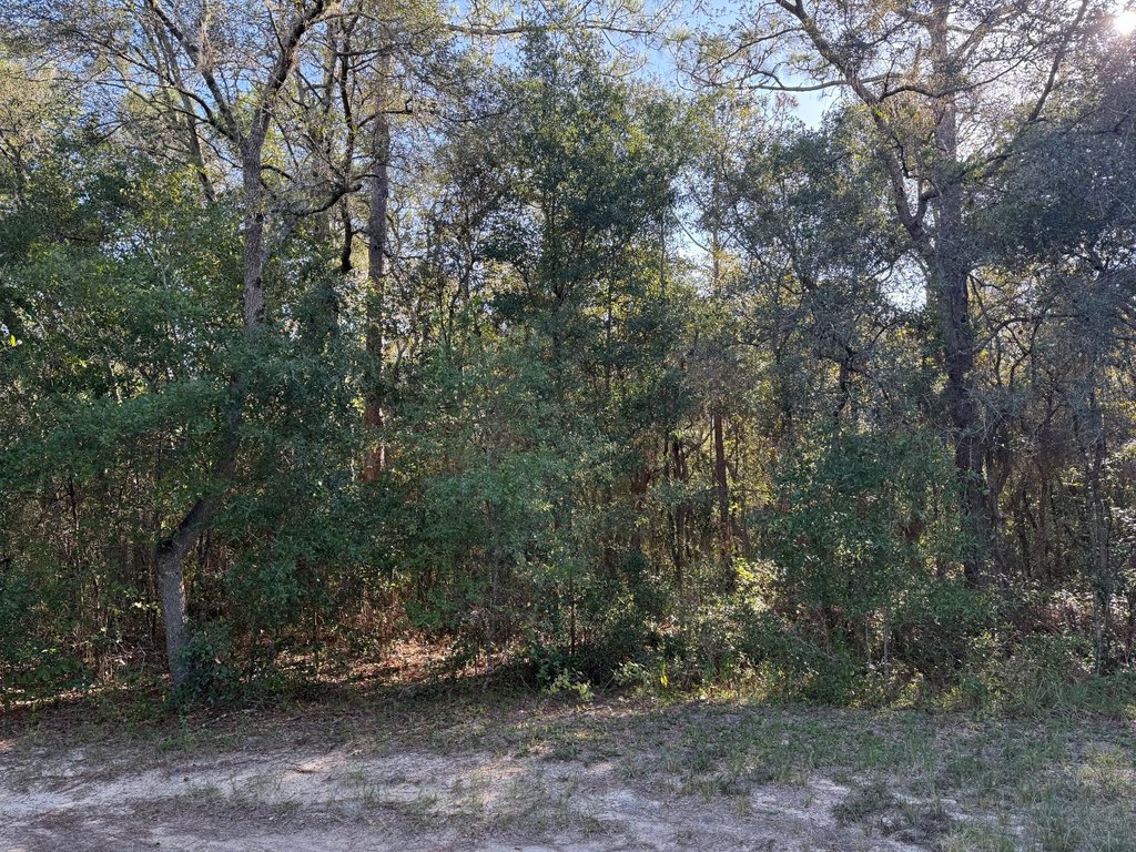 Picture 6