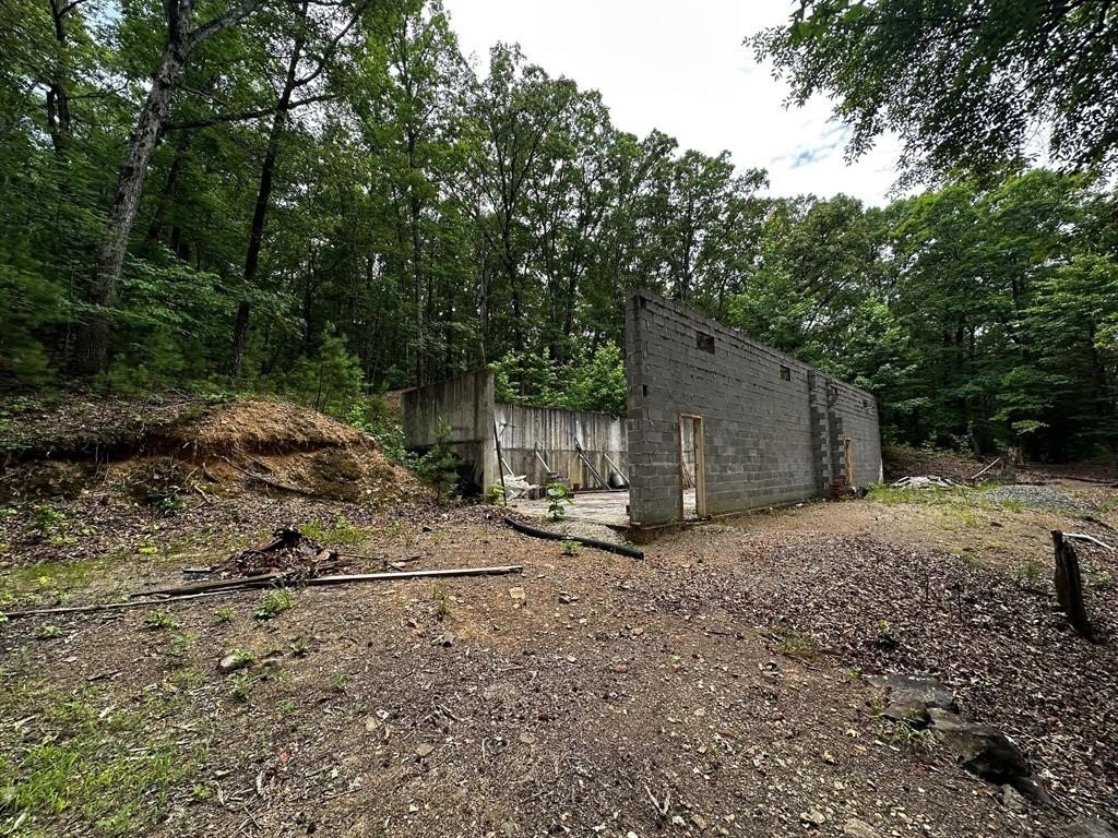 Picture 11
