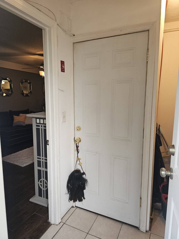 Picture 29