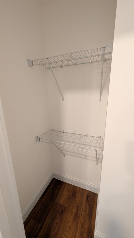 Picture 43
