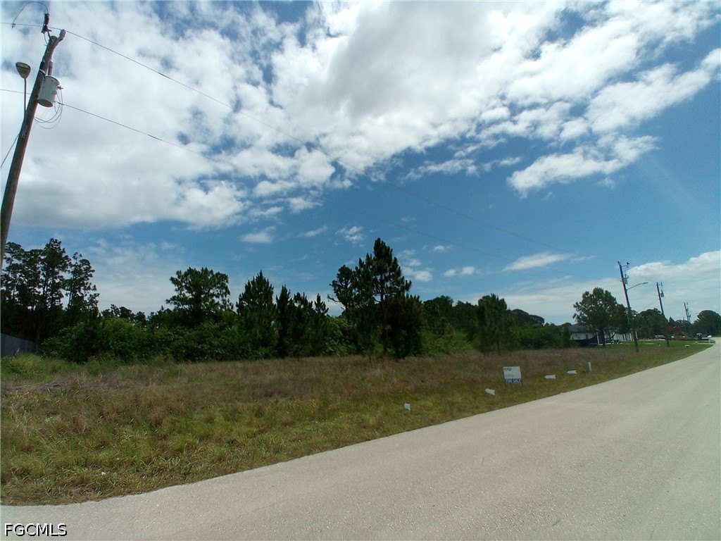 Picture 6