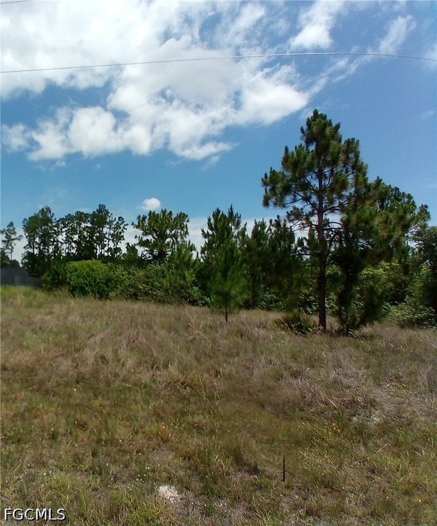 Picture 5