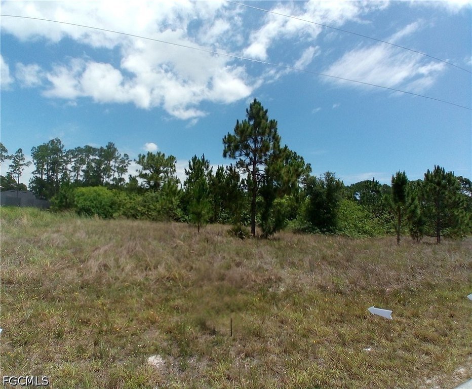 Picture 8