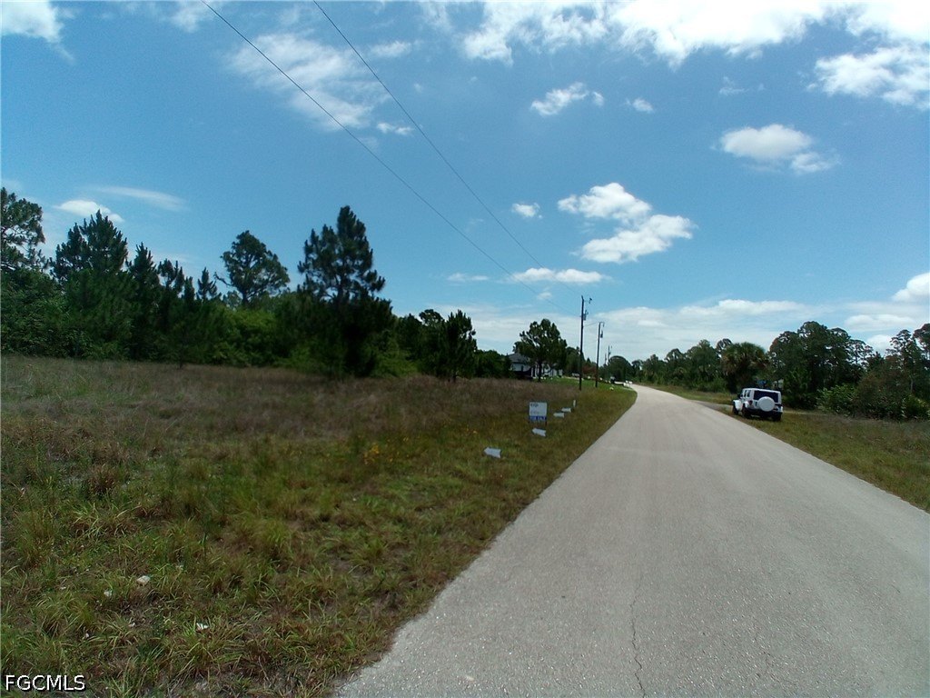 Picture 5