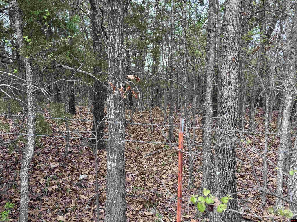 Picture 13
