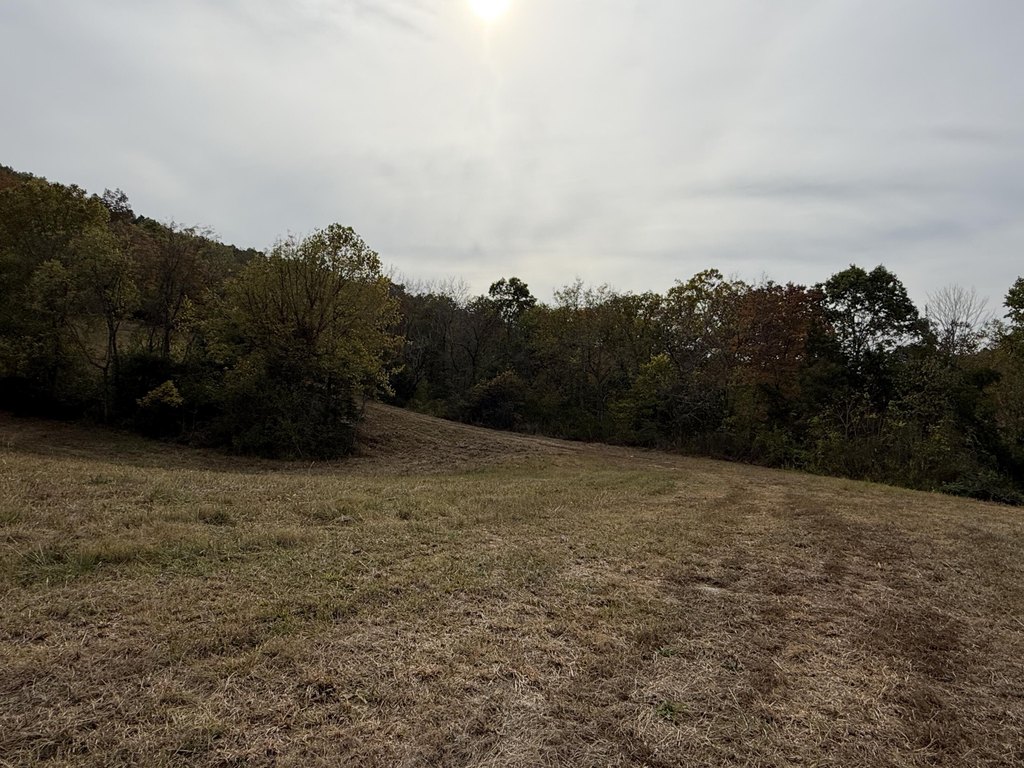 Picture 22