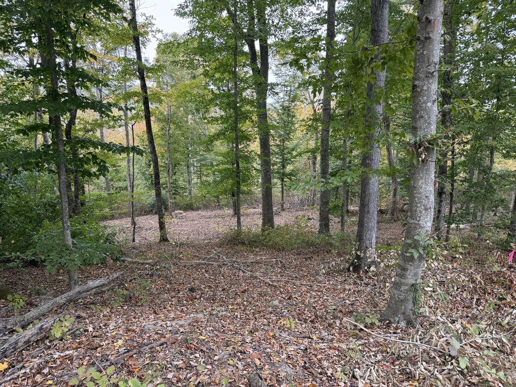 Picture 27