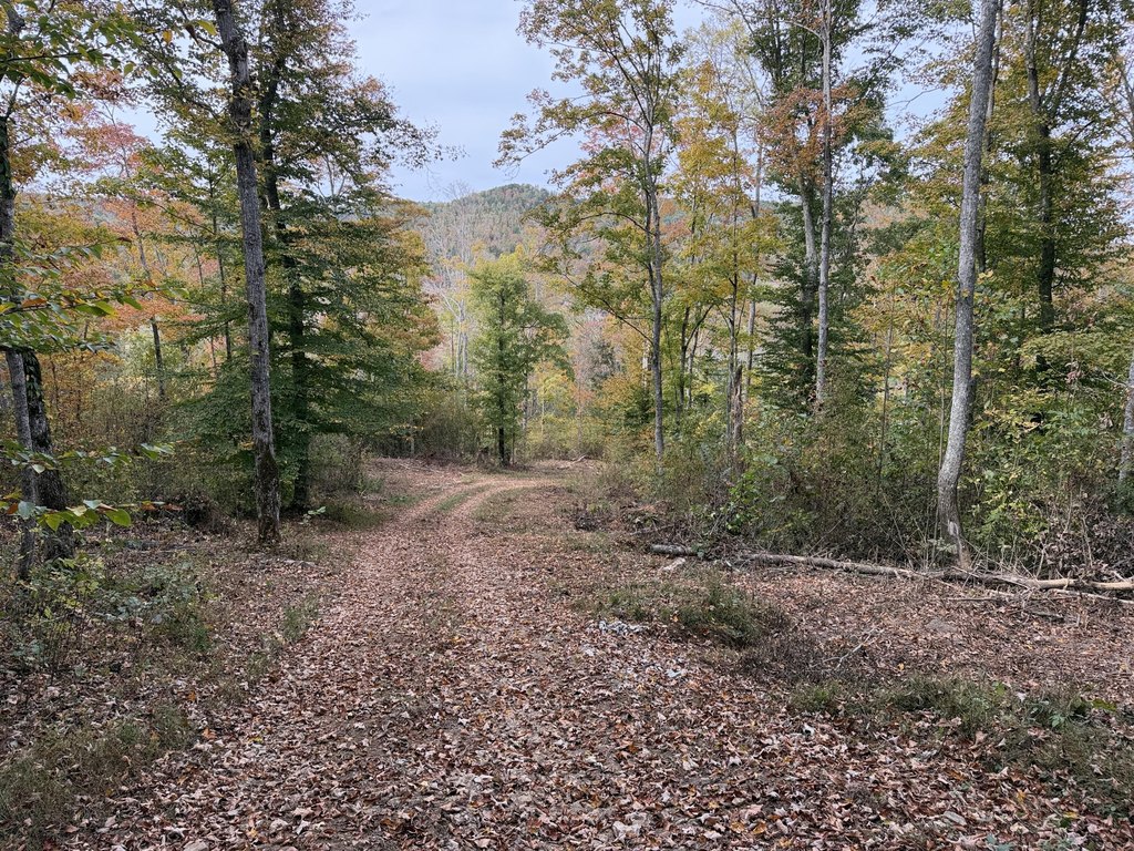 Picture 25