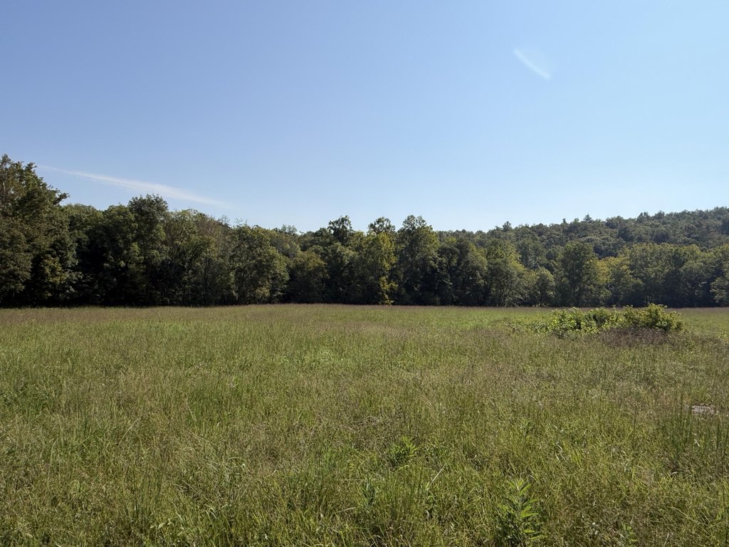Picture 18