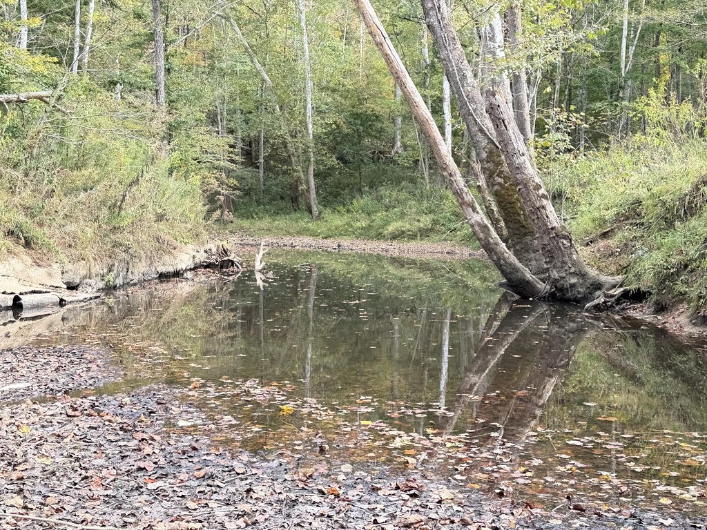 Picture 26