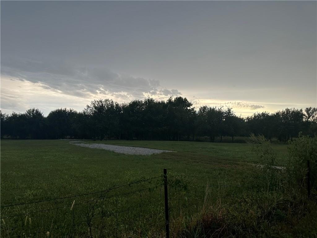 Picture 5
