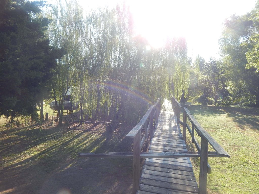 Picture 4