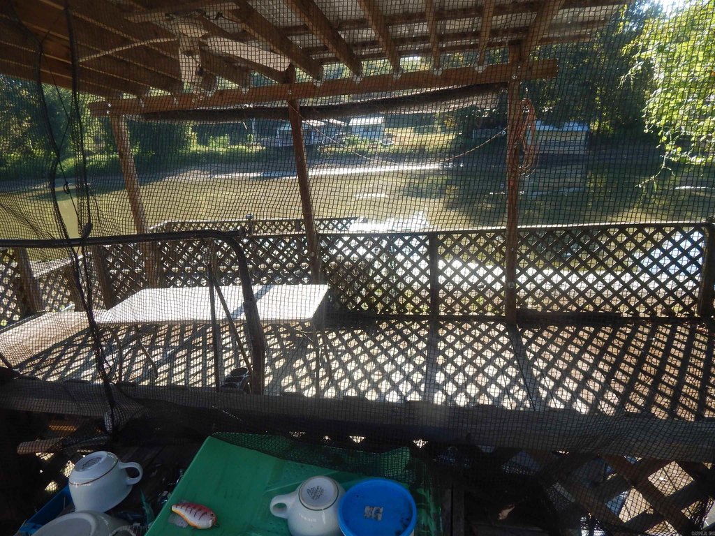 Picture 5