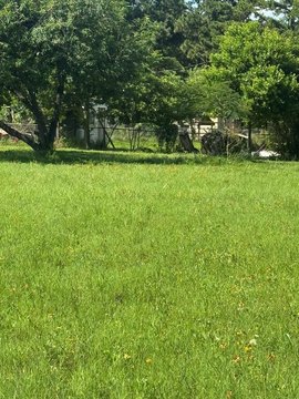 Land in Tennessee Colony, TX