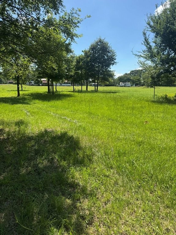 Picture 3