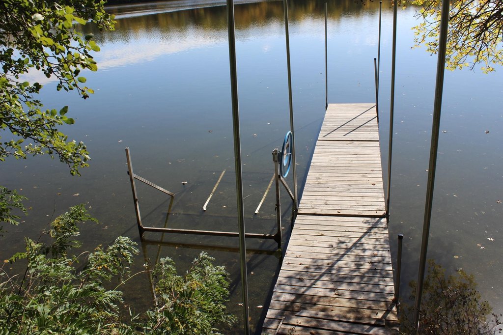 Picture 8