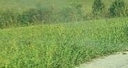Land, Flemingsburg, KY