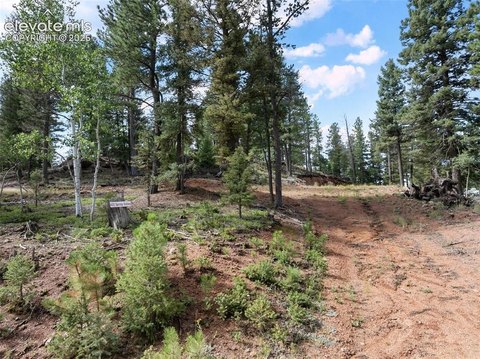 LAND - Divide, CO