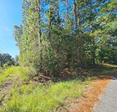 For Sale, Albany, GA