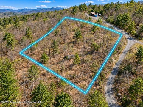 Land, Spring Brook Twp, PA
