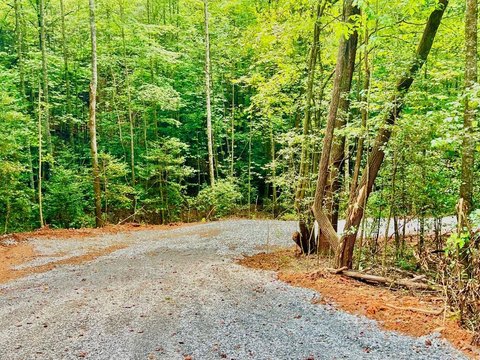 LAND - Dawsonville, GA
