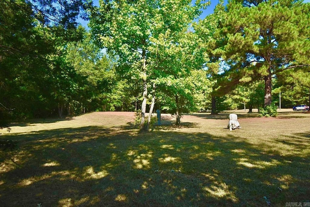 Picture 20