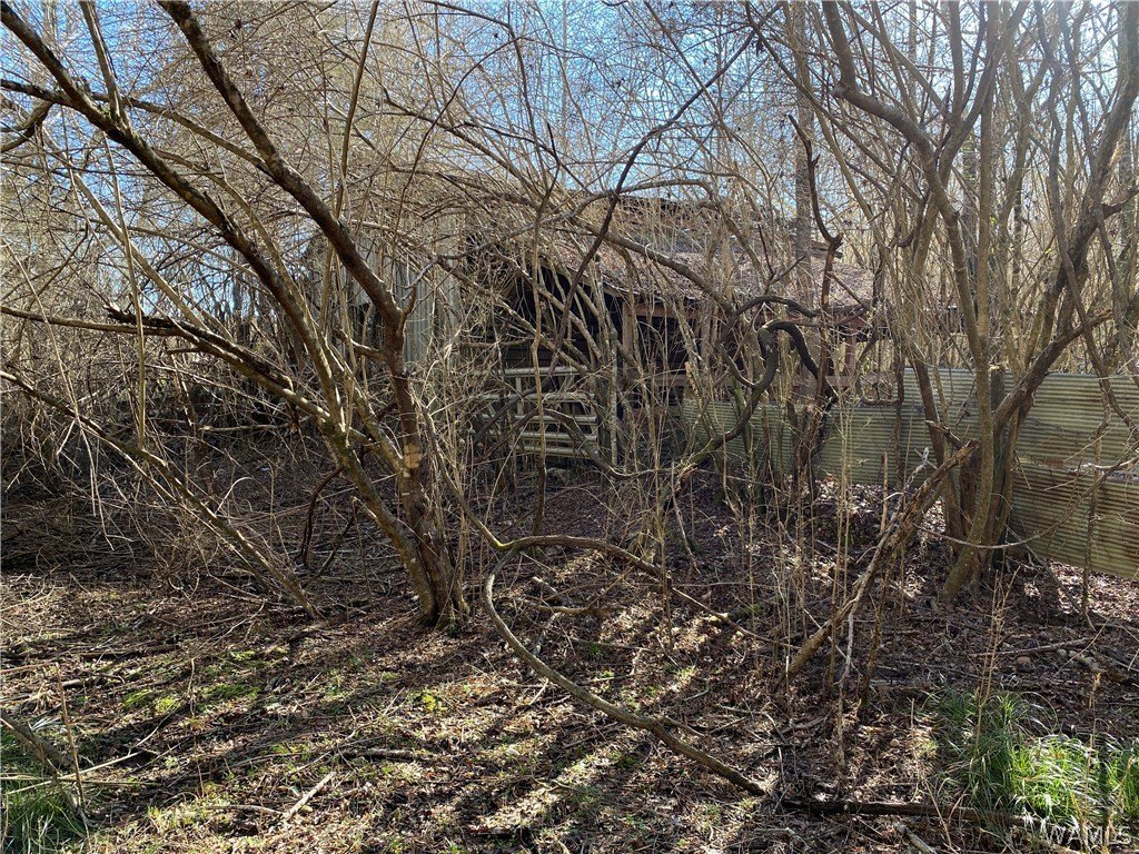 Picture 8
