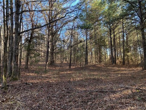 LAND - Northport, AL