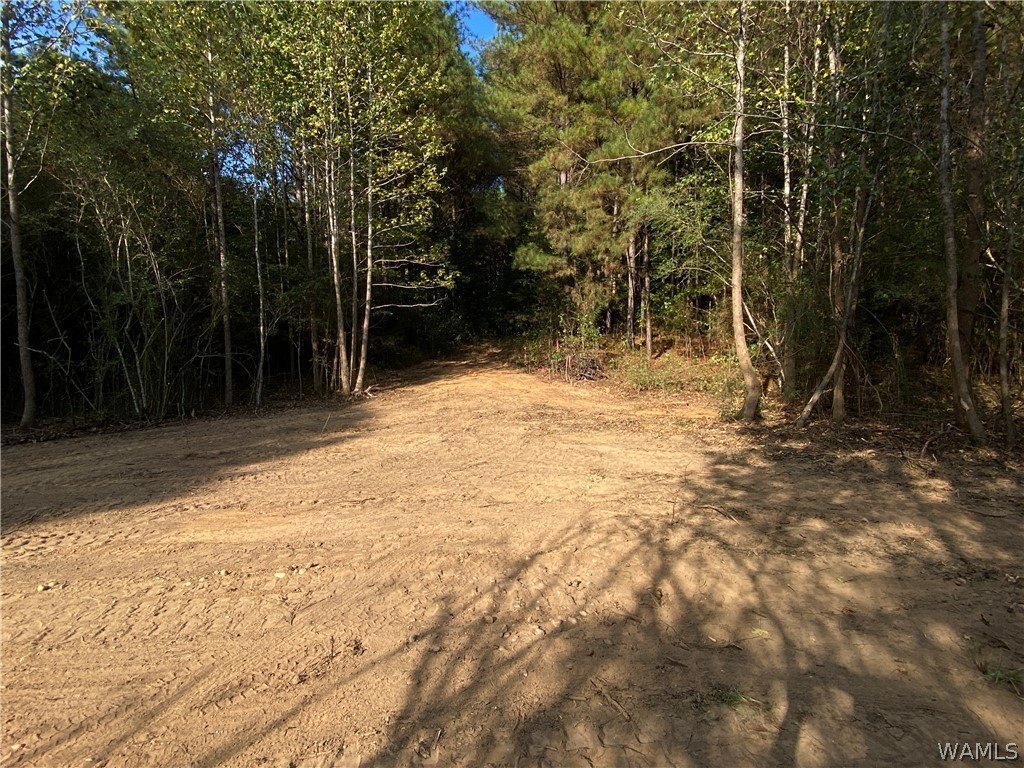 Picture 6
