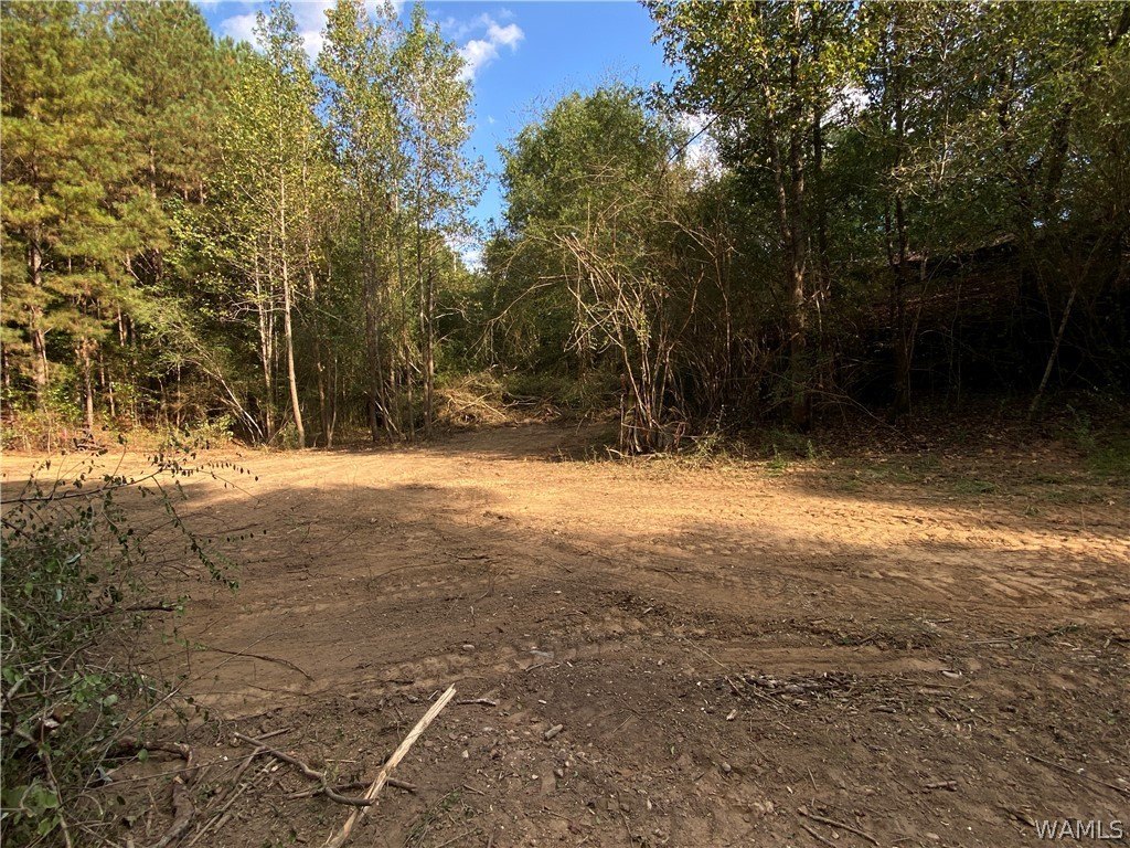 Picture 5