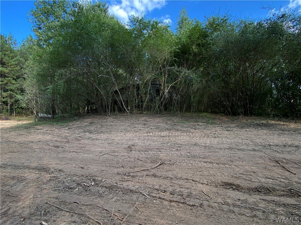 Picture 3