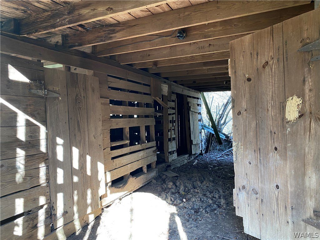 Picture 5
