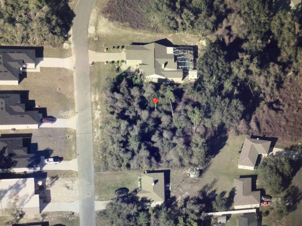 Picture 5