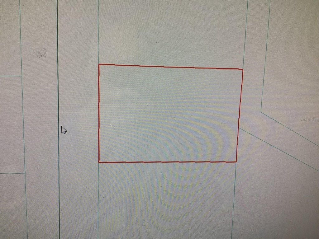 Picture 4
