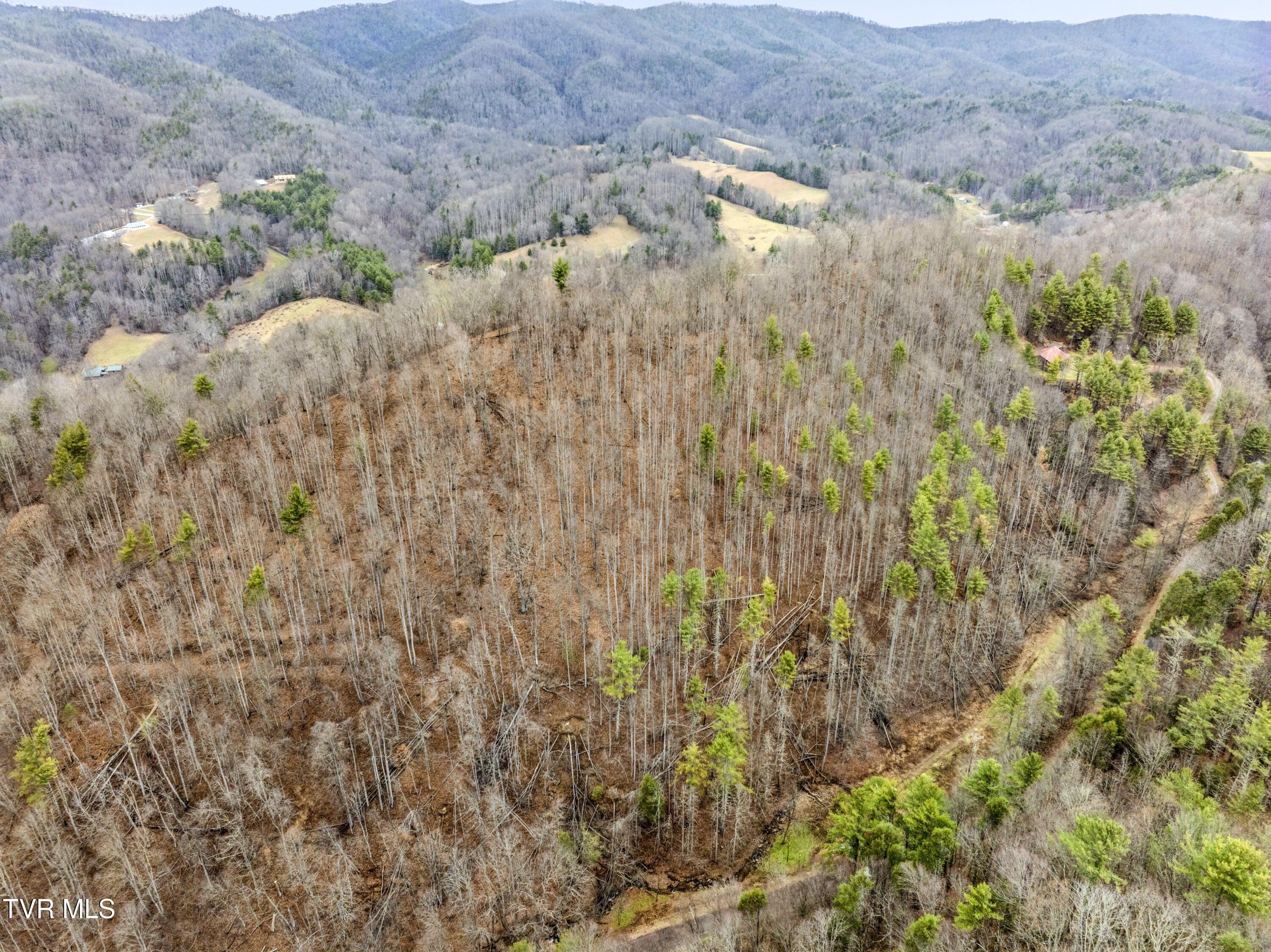 Unrestricted Land with Creek Access