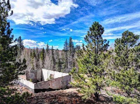 Treed Mountain Land Opportunity